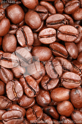 Image of Coffee beans forming a background