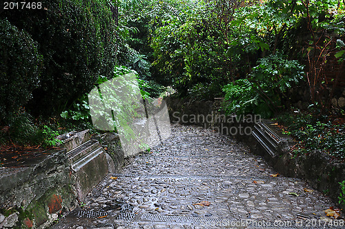 Image of Paved Slope in the Rain