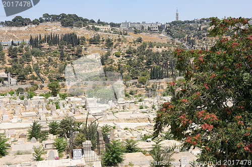 Image of Mount of Olives from the walls of Jerusalem.