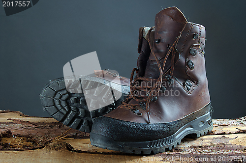 Image of Hiking Boots