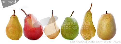 Image of varieties of pears