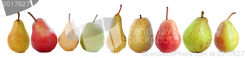 Image of varieties of pears