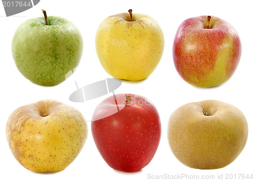 Image of six apples
