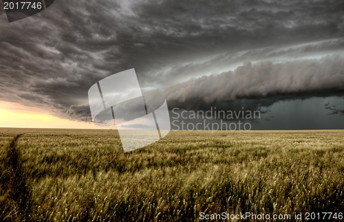 Image of Storm Clouds Saskatchewan