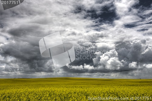 Image of Storm Clouds Saskatchewan