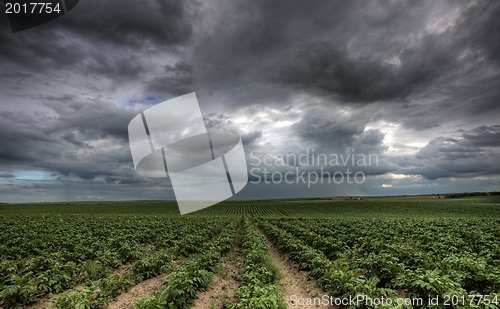 Image of Storm Clouds Saskatchewan