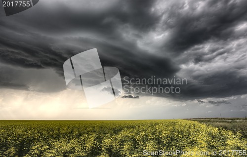Image of Storm Clouds Saskatchewan