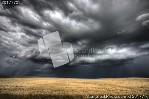 Image of Storm Clouds Saskatchewan