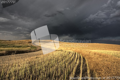 Image of Storm Clouds Saskatchewan