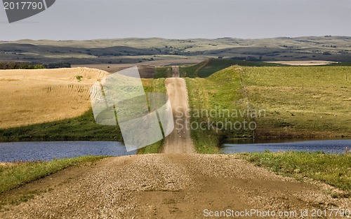 Image of Grid Prairie Road