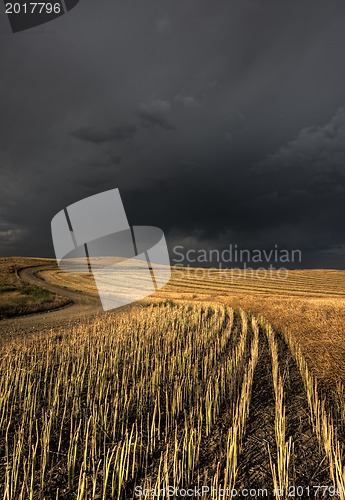 Image of Storm Clouds Saskatchewan