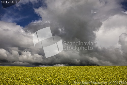 Image of Storm Clouds Saskatchewan