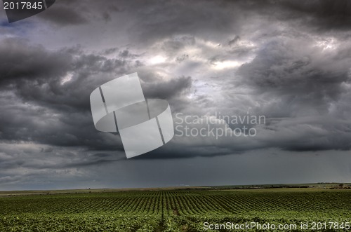 Image of Storm Clouds Saskatchewan