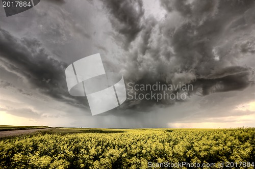 Image of Storm Clouds Saskatchewan