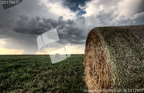 Image of Storm Clouds Saskatchewan