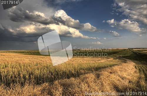 Image of Storm Clouds Saskatchewan