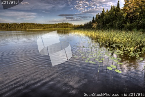 Image of Northern Saskatchewan Lake
