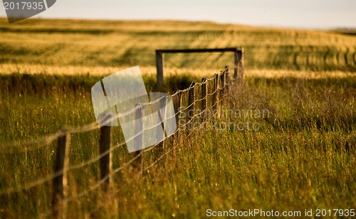 Image of Prairie Fence Line