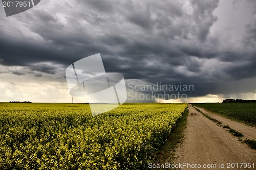 Image of Storm Clouds Saskatchewan