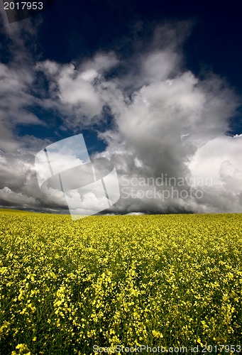 Image of Storm Clouds Saskatchewan