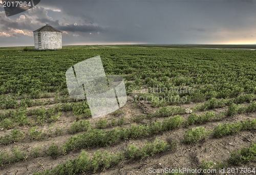 Image of Storm Clouds Saskatchewan