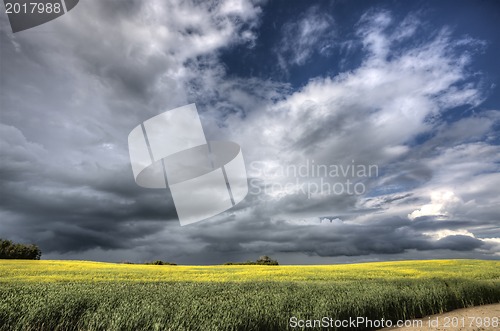 Image of Storm Clouds Saskatchewan