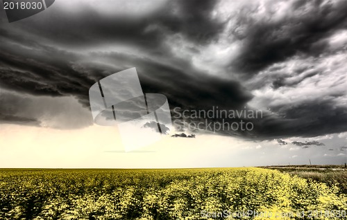 Image of Storm Clouds Saskatchewan