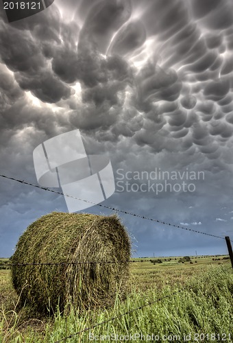 Image of Storm Clouds Saskatchewan