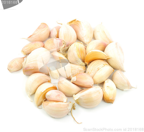 Image of Garlic