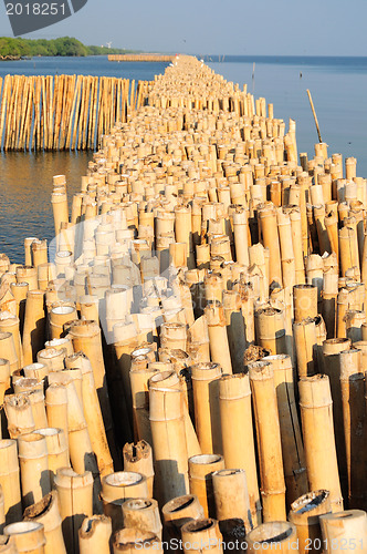 Image of Bamboo wall