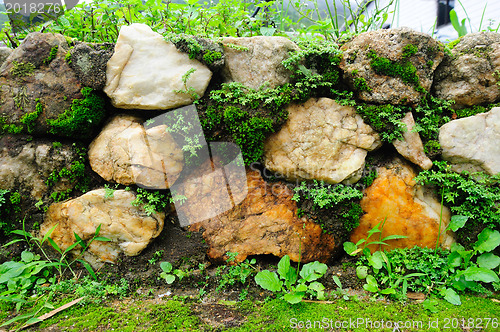 Image of Green Moss