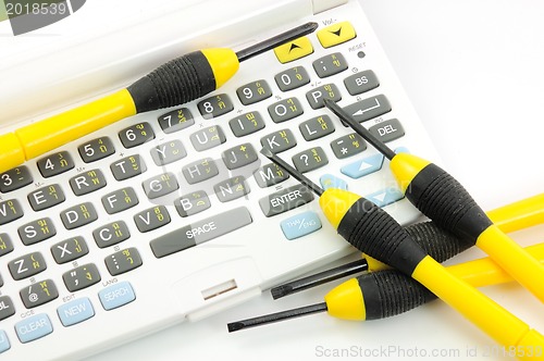 Image of yellow and black screwdriver