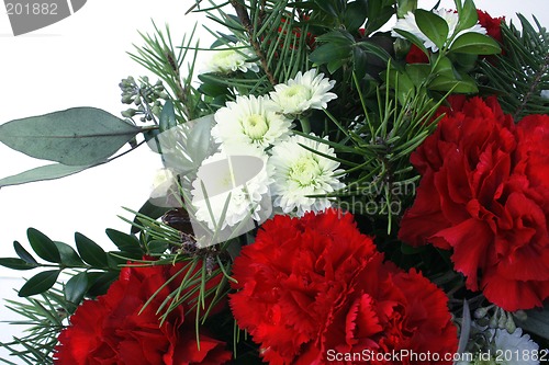 Image of Red Carnations