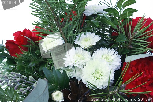 Image of Red Carnations