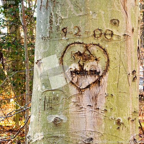 Image of Heart Tree