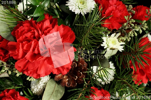 Image of Red Carnations