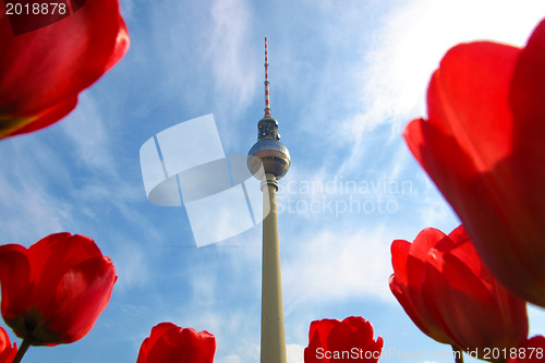 Image of TV Tower, Berlin