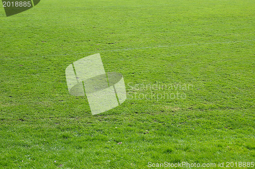 Image of Meadow