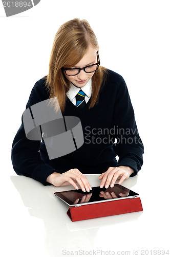 Image of Bright teen student using a tablet device