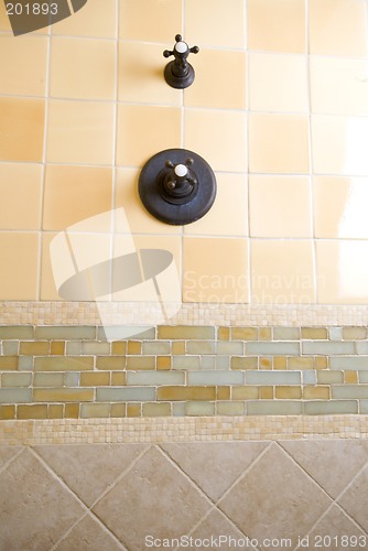 Image of tile detail shower