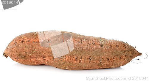 Image of Sweet potato