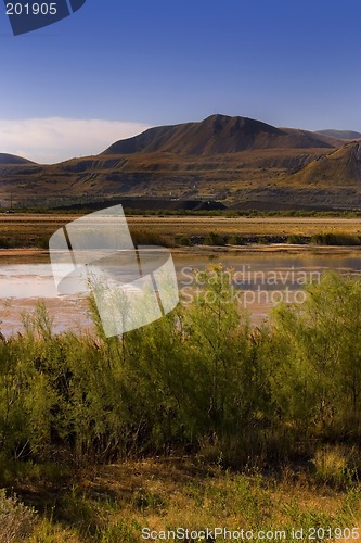 Image of Pond by the Mountain