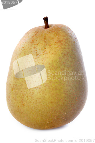 Image of beurre hardy pear