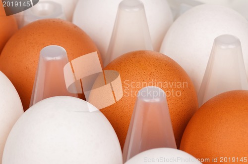 Image of Eggs in box