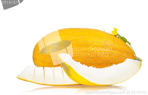 Image of Cantaloupe melon