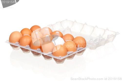 Image of Eggs in box