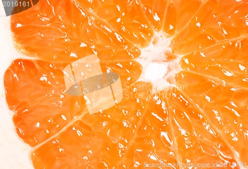 Image of Grapefruit