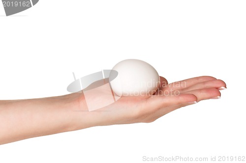 Image of Hand with egg