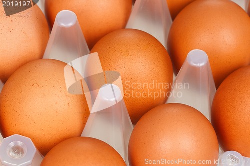 Image of Eggs in box