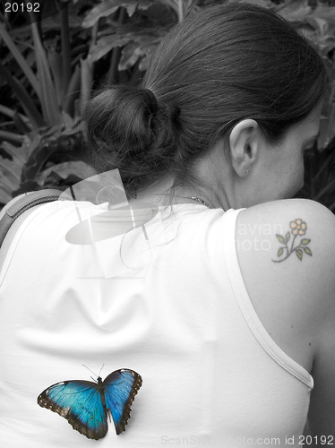 Image of Blue butterfly on black and white lady
